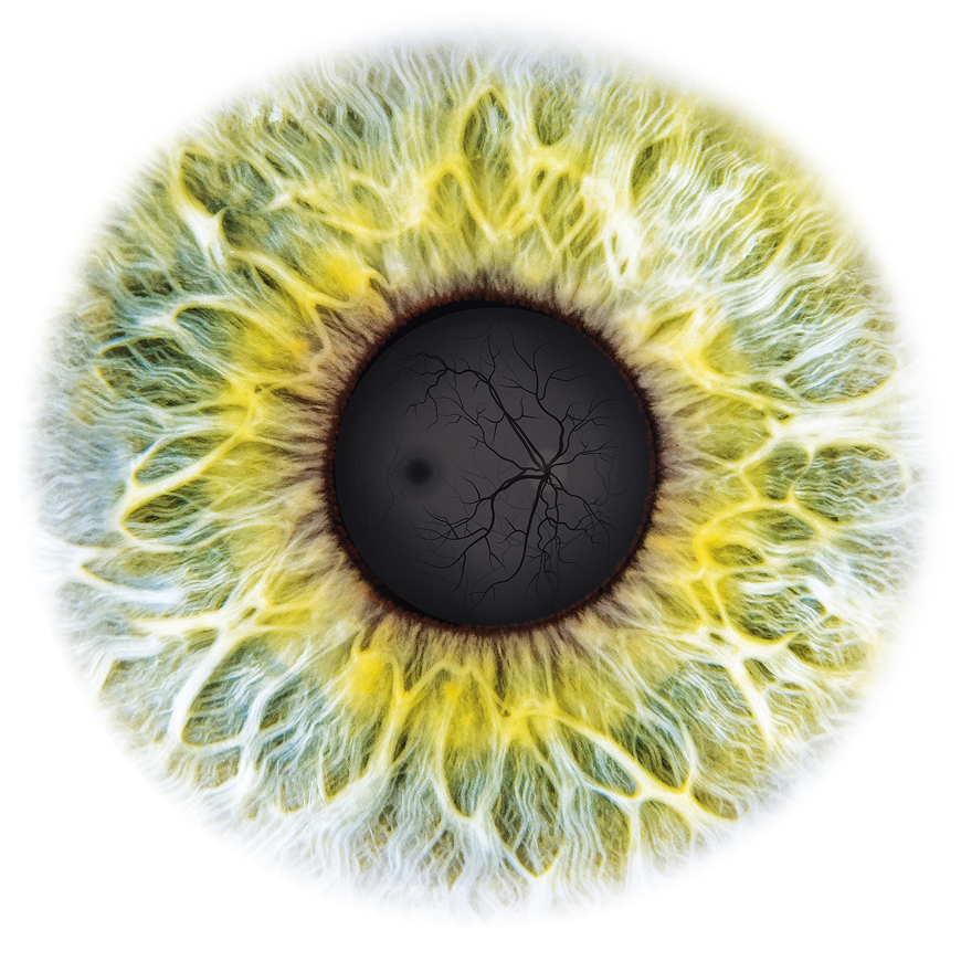 Makula komplex - Szemvitamin a látás megőrzéséért