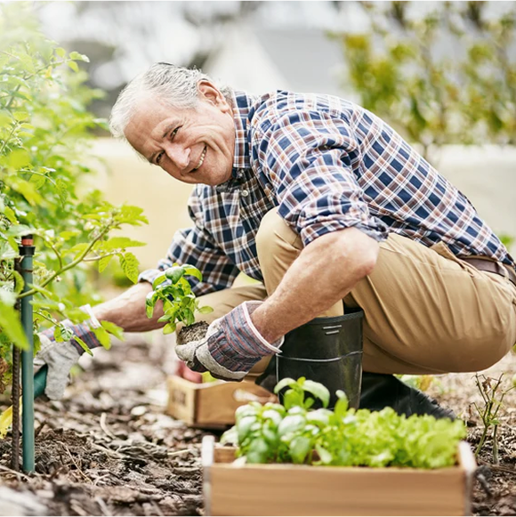 Cartinorm + D3 - porcerősítő étrend-kiegészítő